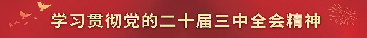 學(xué)習(xí)貫徹黨的二十屆三中全會(huì)精神